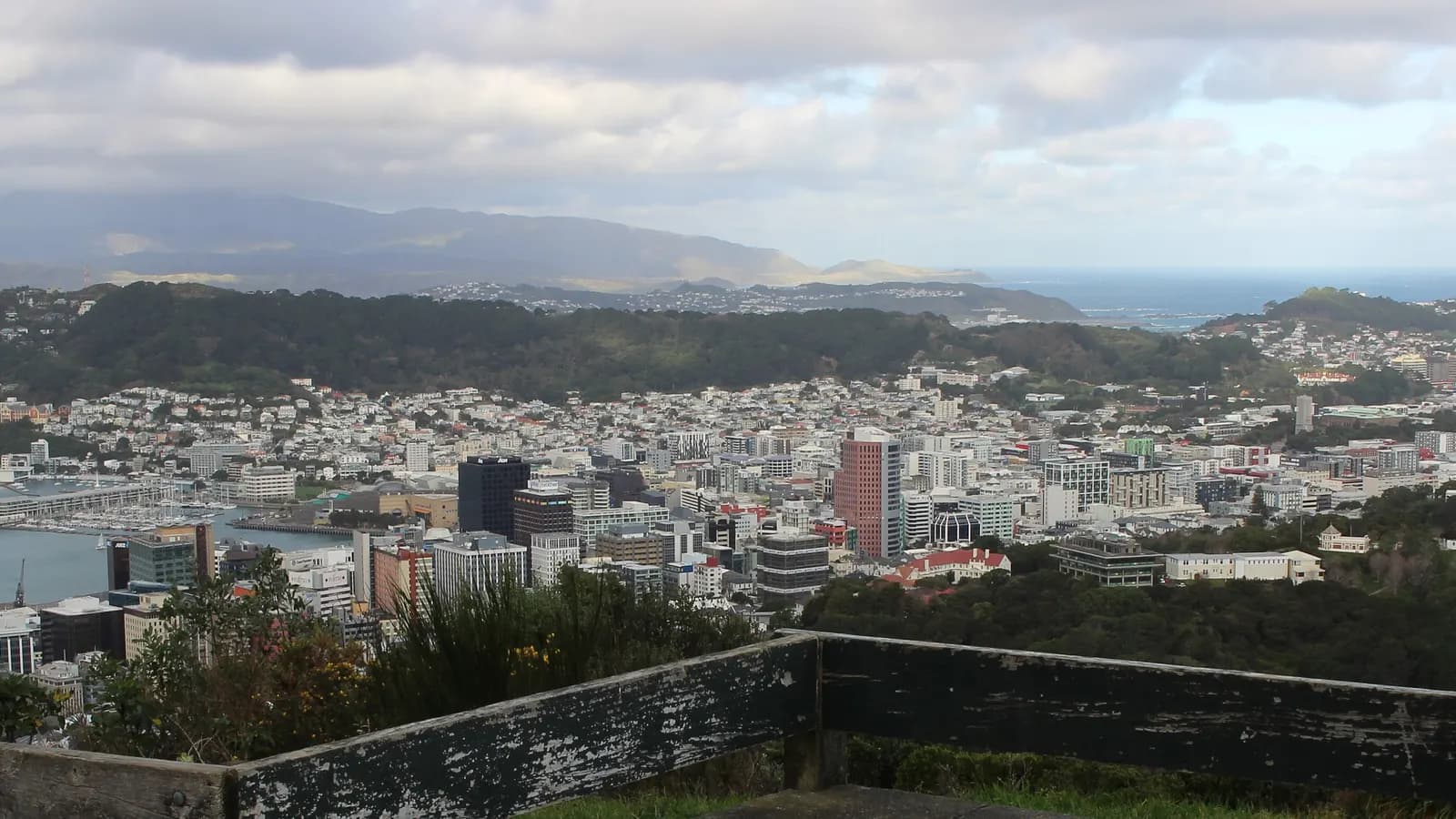 The city of Wellington and its harbour seen from the hills above