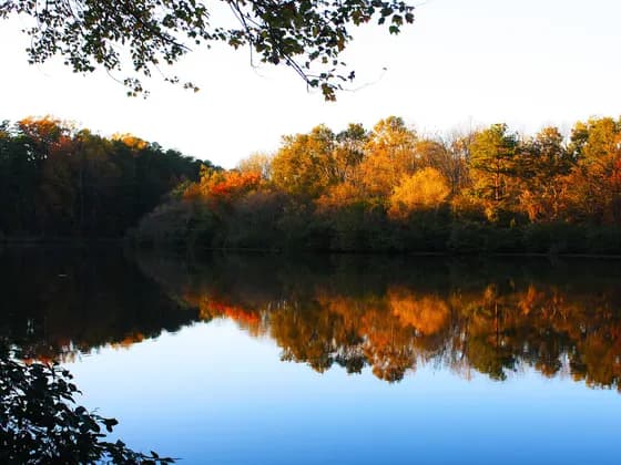 Emory University School of Medicine (MD) — Candler Lake in the middle of Lullwater Preserve on the Emory University campus…