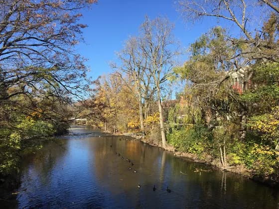 MSU College of Osteopathic Medicine (DO) — Red Cedar River