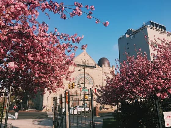 Temple University Kornberg School of Dentistry (DMD) — Temple University Performing Arts Center in 2017