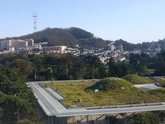 UCSF School of Medicine (MD) — University of California San Francisco