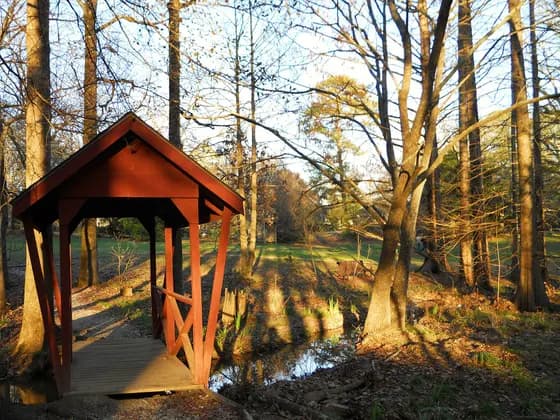VCOM Auburn (DO) — This is a photograph of the Donald E. Davis Arboretum located on the campus of Auburn University in Auburn