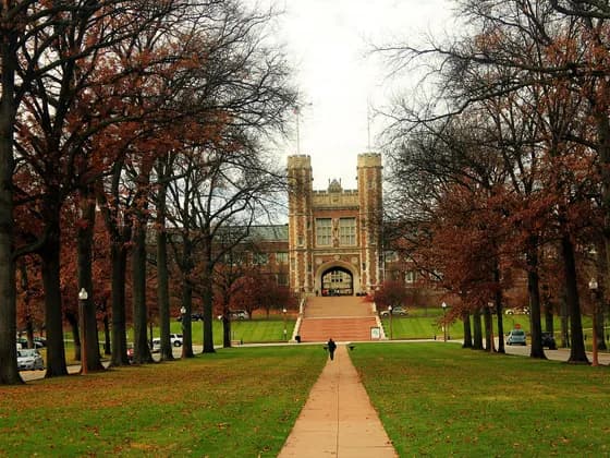 Washington University School of Medicine (MD) — The Arch and many of the sights and scenes from St. Louis Looking at the…