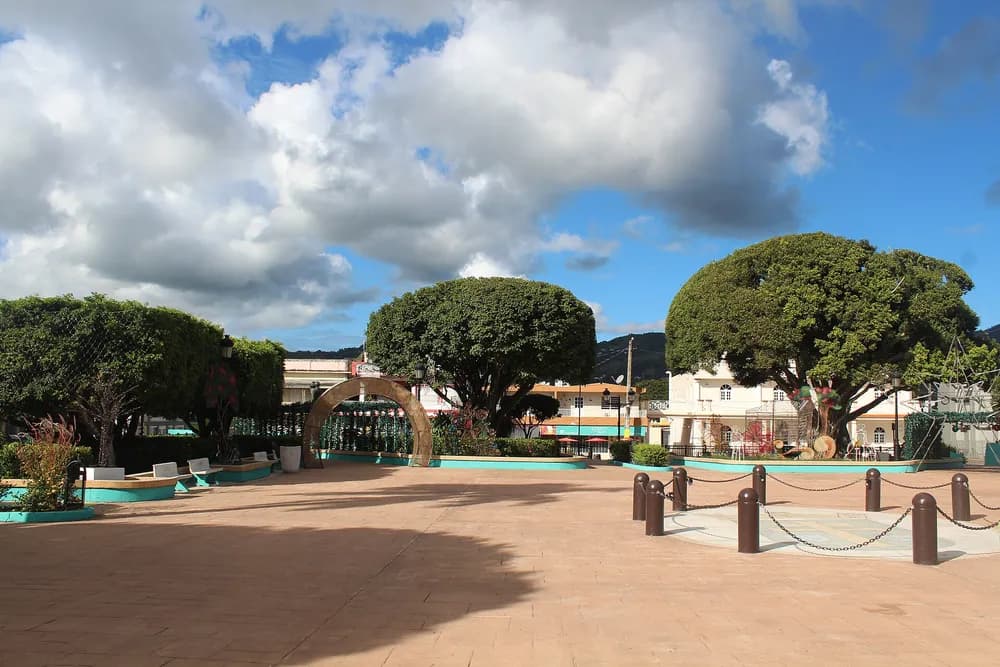 Universidad Ana G. Méndez School of Dental Medicine (DMD) — Plaza de Gurabo