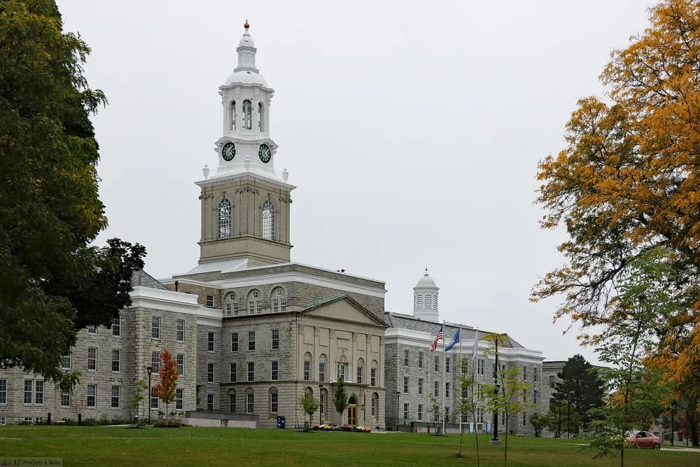University at Buffalo School of Dental Medicine (DDS) — "I can't believe it's been three years since my last proper visit…