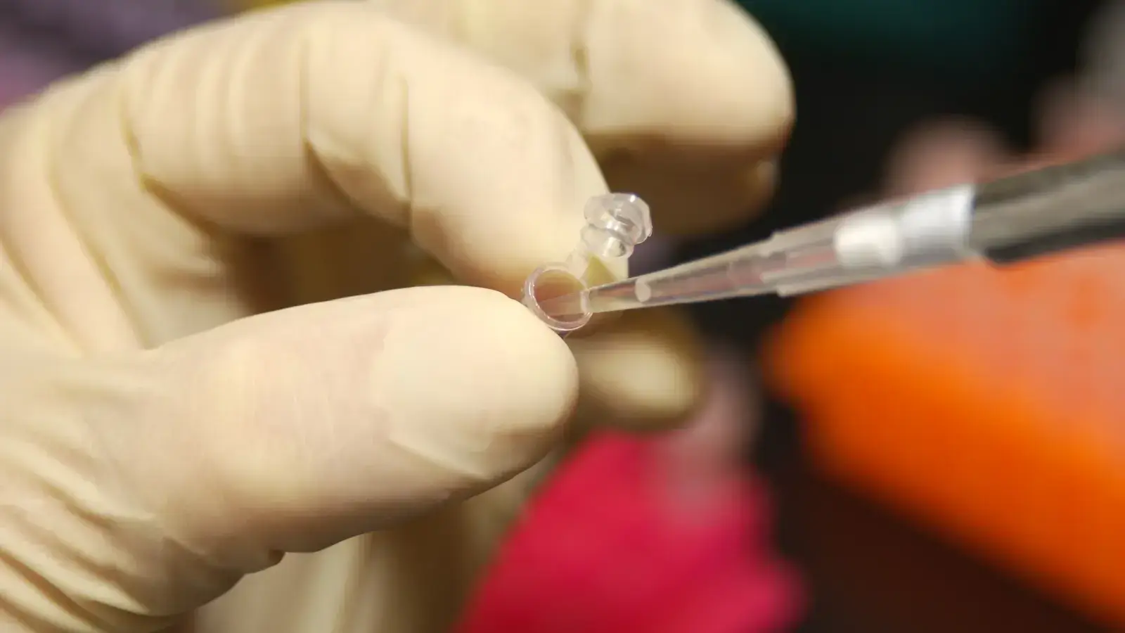 A gloved researcher drawing DNA from a micro test tube with a pipette