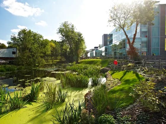 Mill pond at Anglia Ruskin University, Chelmsford campus Anglia Ruskin (ARU) — Mill pond at Anglia Ruskin University