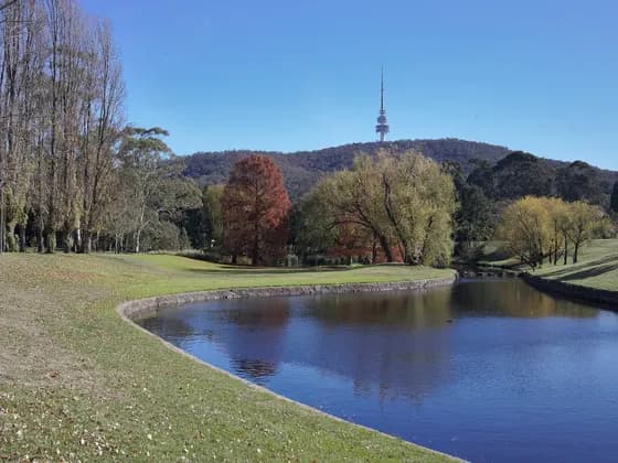 A view of ANU campus, looking towards Black Mountain and Telstra Tower ANU — A view of ANU campus