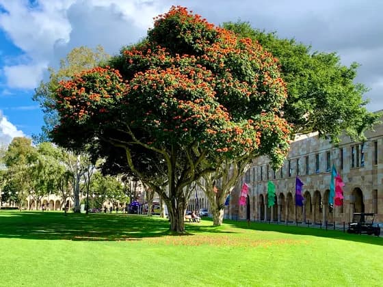 Buildings surrounding the Great Court, University of Queensland UQ — Buildings surrounding the Great Court