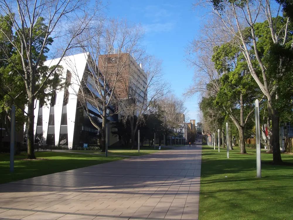 Daytime landscape view of the UNSW Sydney (University of New South Wales) Kensington campus main walkway, showing the iconic angular glass academic building and clock tower under a clear blue sky.