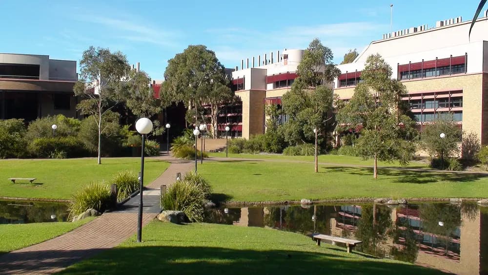 Daytime campus view at the University of Wollongong (NSW, Australia): landscaped lawn, ornamental lake/duck pond and lamp-lined path in front of the Science buildings under a clear blue sky.