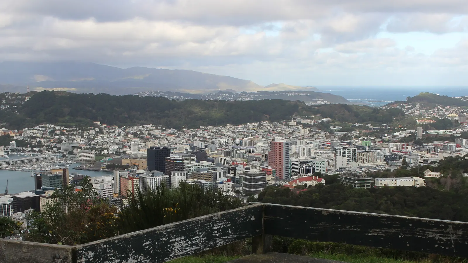 The city of Wellington and its harbour seen from the hills above
